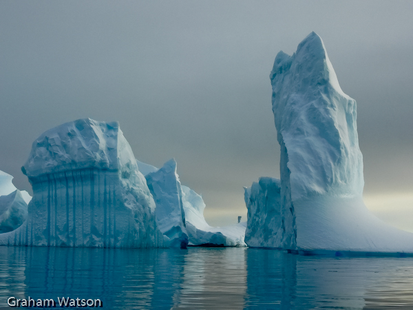 Icebergs at Pleneau Island