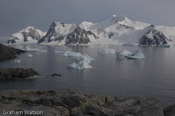Marguerite Bay