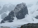 Cuverville Island