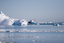 Polar Pioneer coming to get us