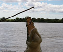 Saltie