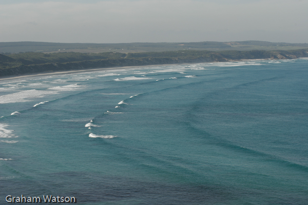 Watson_060725_2174