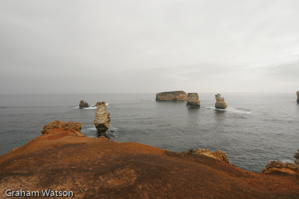 Watson_060726_2364