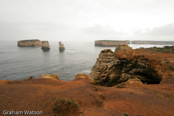 Watson_060726_2365
