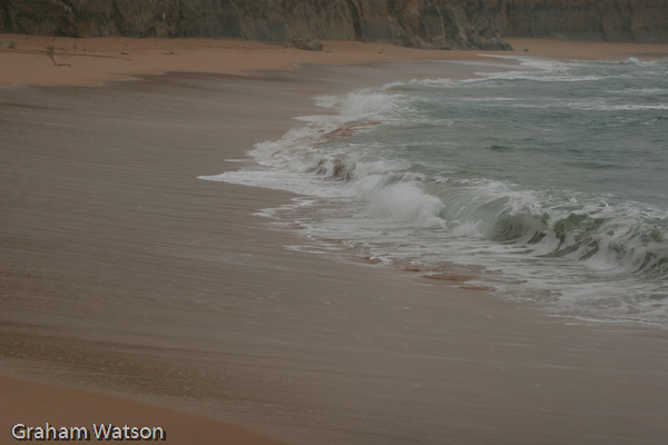 Watson_060726_2471