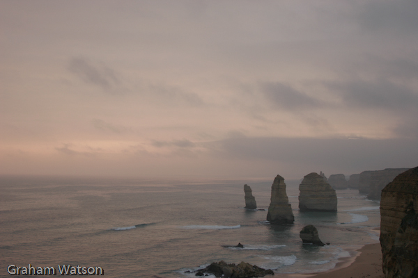 Watson_060726_2537