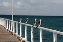 Watson_060724_0194