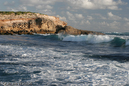 Watson_060724_0264