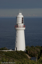 Watson_060727_2715