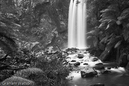 Watson_060727_2747