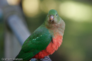 Watson_060728_2779