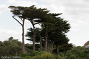 Watson_060728_3007