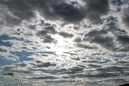 Watson_060728_3016